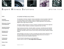 Tablet Screenshot of expertwitnesssolutions.com
